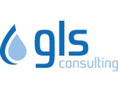 GLS Consulting