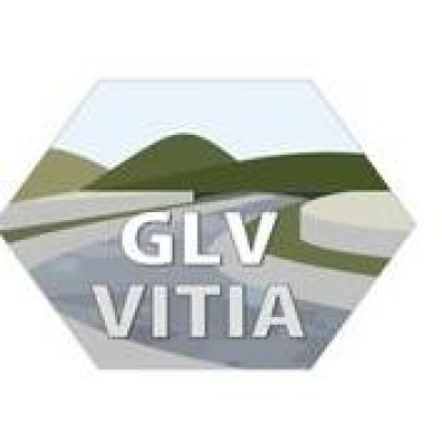 GLV - Vitia