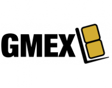 GMEX Consulting