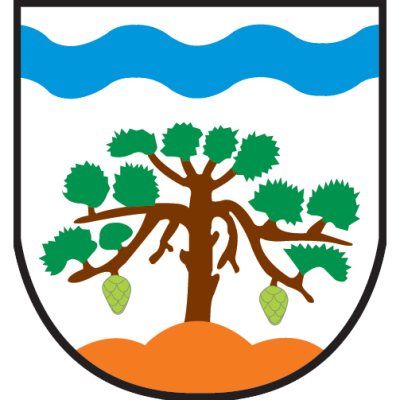 Gmina Leoncin
