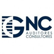 GNC Auditores Consultores