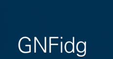 GNFidg