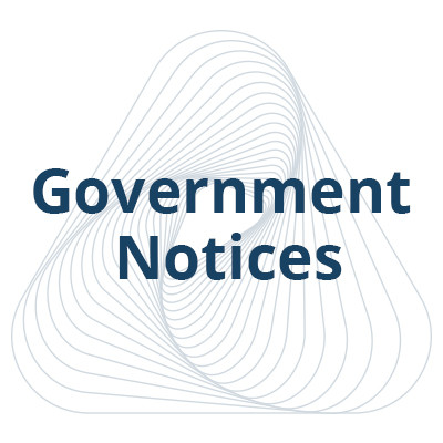 Government Government