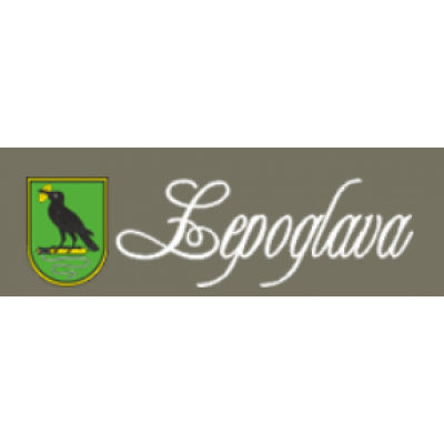 Grad Lepoglava / City Of Lepoglava