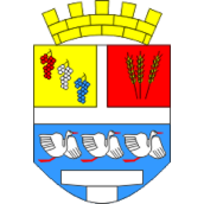 Grad Vinkovci