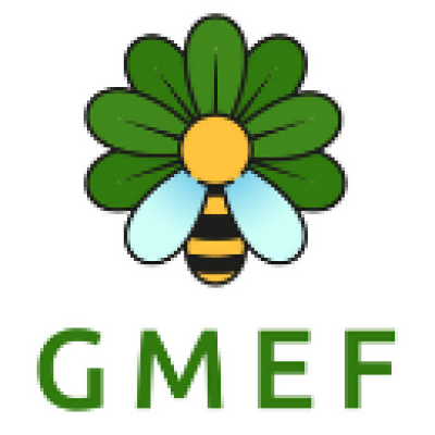 Greater Manchester Environment Fund Greater Manchester Environment Fund