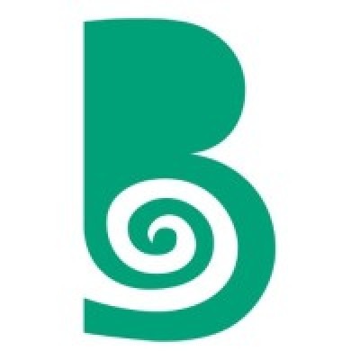 Green-Basilisk B.V. - Basilisk Self-Healing Concrete