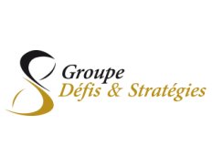 Groupe Defis & Strategies