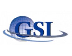 GSI Services