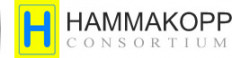 Hammakopp Consortium Limited