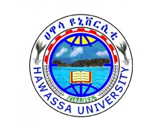 Hawassa University