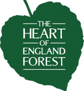 Heart Of England Forest