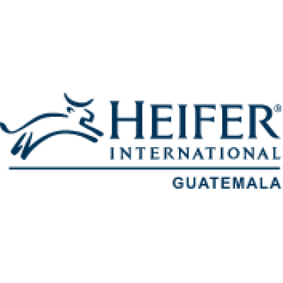 Heifer International (Guatemal