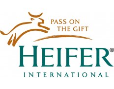 Heifer International - Kenya