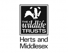 Herts and Middlesex Wildlife T