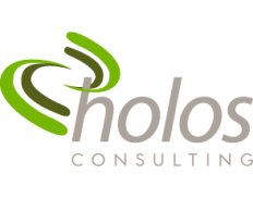 Holos Integrated Business Cons