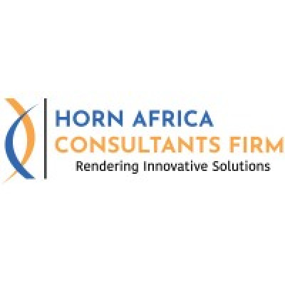 Horn Africa Consultants Firm (