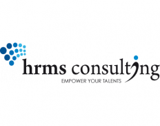 HRMS Consulting