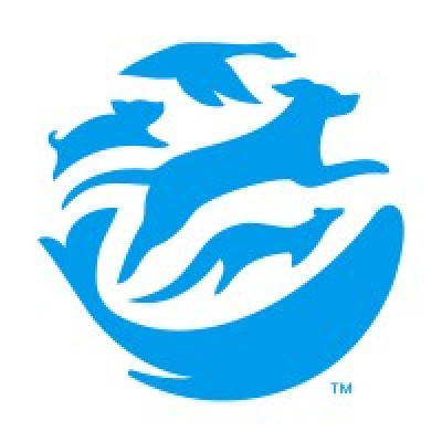 HSI - Humane Society International (Vietnam)