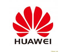 HUAWEI International PTE LTD