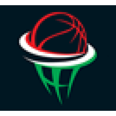 ☑️Hungarian Basketball Federation — NGO from Hungary, experience with