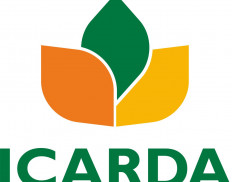 ICARDA - International Center 
