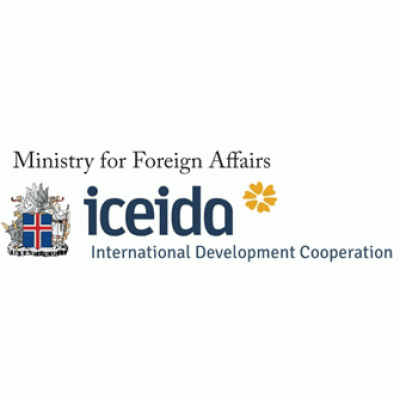 Icelandic International Develo
