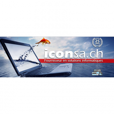 ICON Informatics Consulting Networking SA