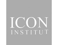 ICON - INSTITUTE GmbH & Co. KG Consulting Gruppe's Logo