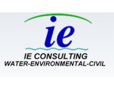 IE Consulting