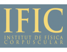 IFIC (CSIC), Instituto de Fisica Corpuscular