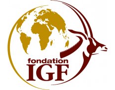 IGF Foundation