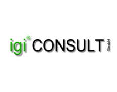 igi CONSULT GmbH