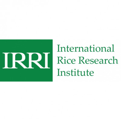 IRRI - International Rice Research Institute (Lao)