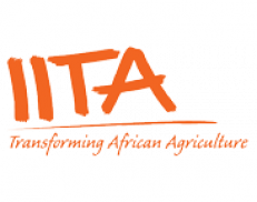 IITA - International Institute of Tropical Agriculture (Tanzania)