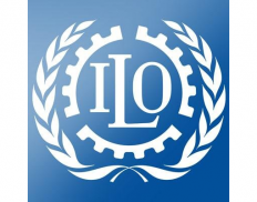 International Labour Organizat