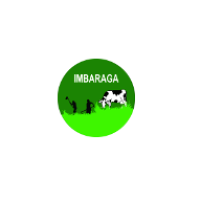 IMBARAGA