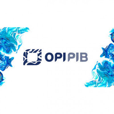 Information Processing Centre - Ośrodek Przetwarzania Informacji – Państwowy Instytut Badawczy (OPIPIB)