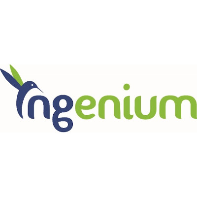 ☑️Ingenium By DCC — Consulting organization from Costa Rica — ICT ...