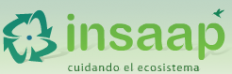 INSAAP S.A.