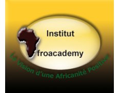 Institut Afroacademy