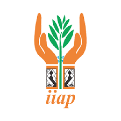 IIAP - Research Institute of t