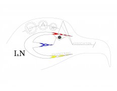 International and National Eng