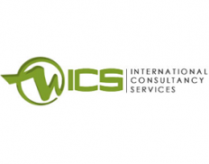 International consultancy serv