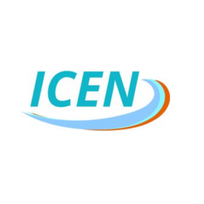 International Consulting Engin