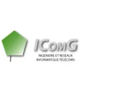 International Consulting & Man