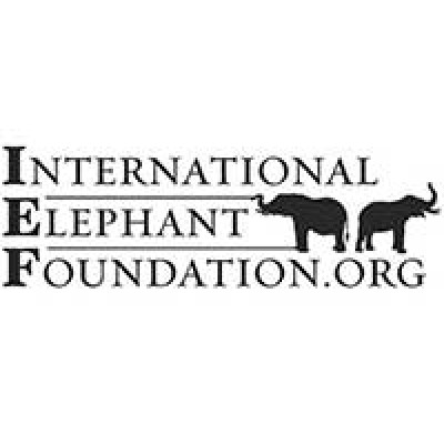 International Elephant Foundation (IEF)