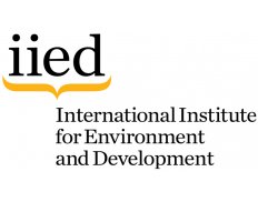 IIED - International Institute