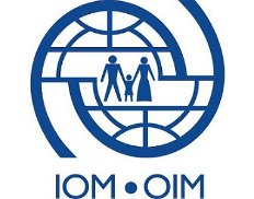 International Organization for