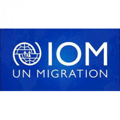 International Organization for